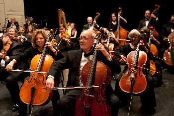 Photograph of cello & bass section
