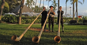Photograph of Salzburger Echo trio with palms