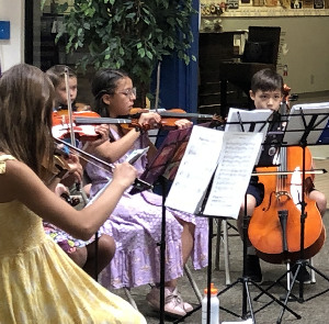 Photograph of summer students